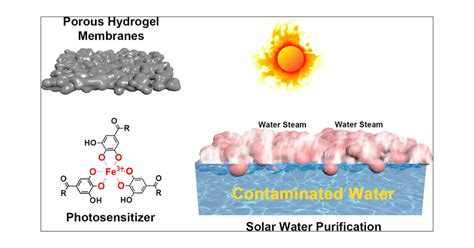 Porous Hydrogel Photothermal Conversion Membrane To Facilitate Water