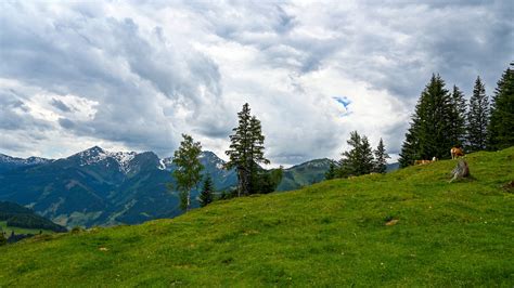 Nationalpark Hohe Tauern 21 Foto And Bild Europe Österreich