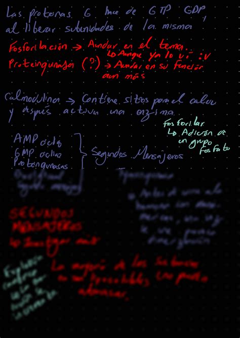 Solution Comunicacion Renal Fisiologia Facmed Uanl Studypool