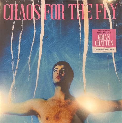 Grian Chatten Chaos For The Fly White Vinyl Discogs