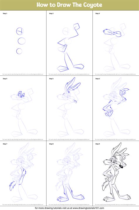 How To Draw The Coyote Wile E Coyote Step By Step