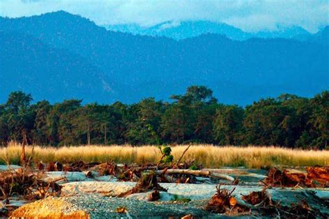 Manas Tiger Tour Package Assam Wildlife Tour Package