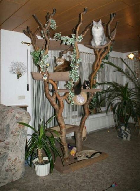 Cool Cat Trees Diy Cat Tree Cat Diy Cool Cats Natural Architecture