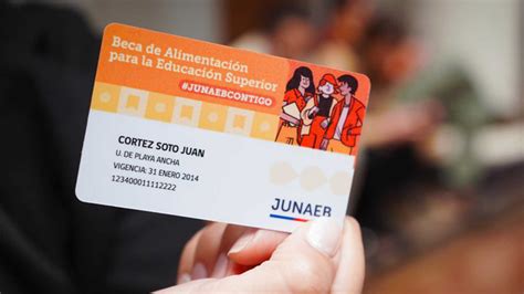 No Te Pierdas La Oportunidad Beca Junaeb En Verano Hasta Cu Ndo Hay