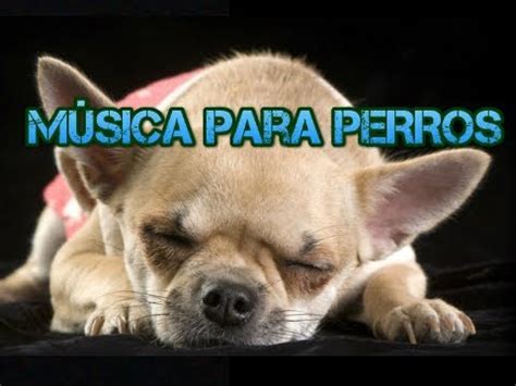 Música para Relajar y Dormir Perros Música Relajante para Perros y