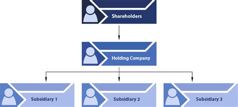 holding company advantages  disadvantages