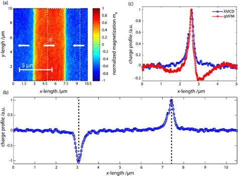 (a) XMCD total electron yield image of the parallel stripe domain ...