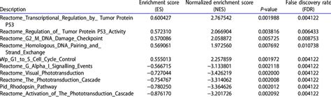Significantly upregulated and downregulated pathways through gene set ... 