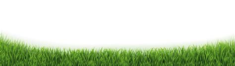 Premium Vector Grass Border Isolated