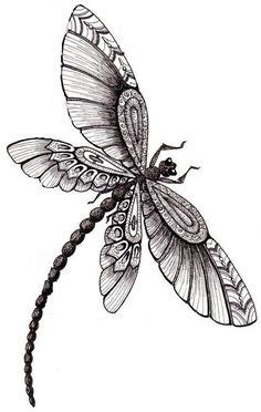 Dragonfly Pencil Sketch At Paintingvalley Explore Collection Of