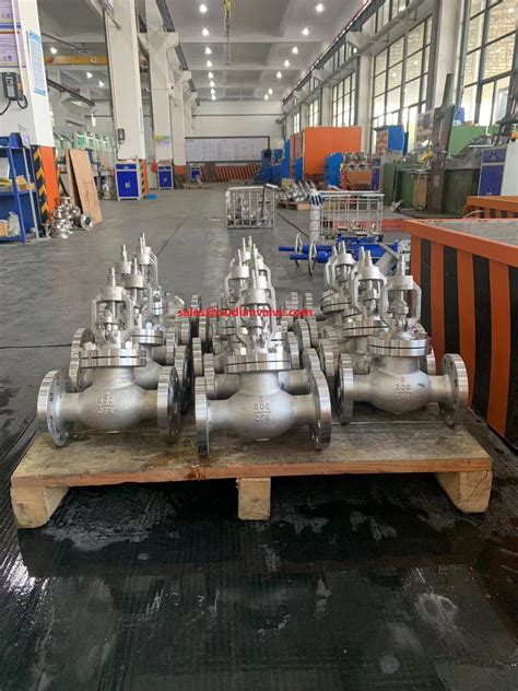 300lb Stainless Steel Globe Valve Oudian Valve