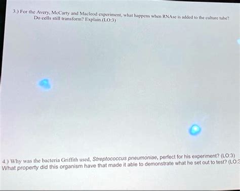 SOLVED 3 For The Avery McCarty And Macleod Experiment What Happens