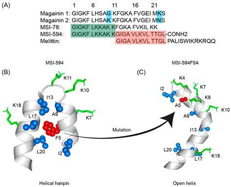 D Structures Of Potent Antimicrobial Peptides Encyclopedia Mdpi