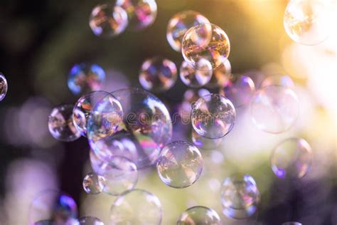 Soap Bubbles Floating In The Air Summer Time Stock Photo Image Of