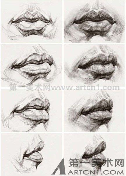 50 best Lips anatomy images on Pinterest | Mouths, Tutorials and ...