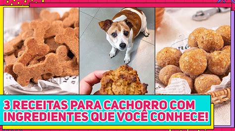 Receitas Para Seu Cachorro Receitas Naturais Que At Humanos Podem