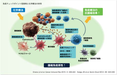 【52off】 がん化学療法の薬―抗がん剤 ホルモン剤 分子標的薬 免疫チェックポイント阻害薬 Ng