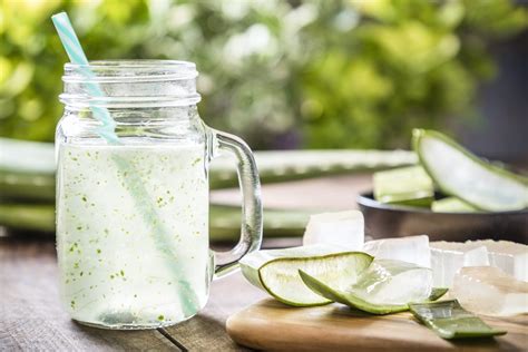 Quali Sono I Benefici Dell Aloe Vera E Perch Usarla