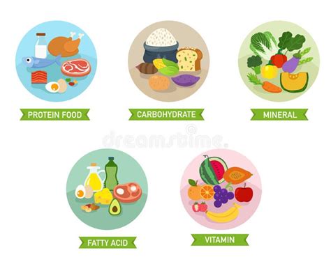 Cinq Groupes Alimentaires Illustration De Vecteur Illustration Du Vert
