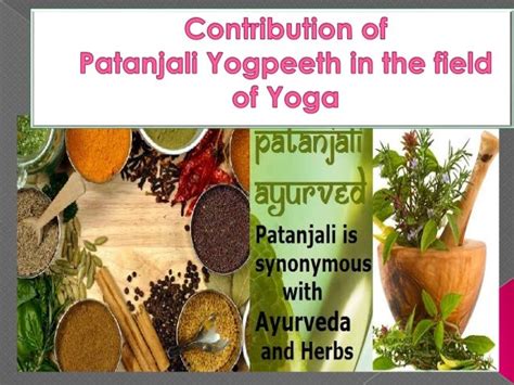 Contribution of patanjali yogpeeth in the field of yoga