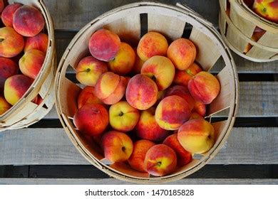 203 Bushel Peaches Images, Stock Photos & Vectors | Shutterstock