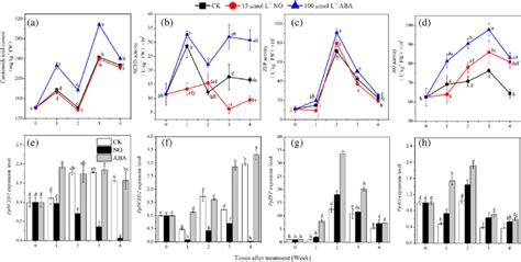 A Carotenoids Content B Zeaxanthin Epoxidase Zep C Download Scientific Diagram