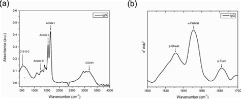 Specific Detection Of Uropathogenic Escherichia Coli Via Fourier Transform Infrared Spectroscopy