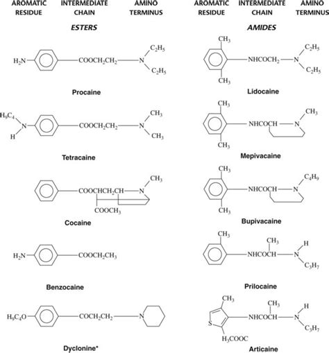 16: Local Anesthetics | Pocket Dentistry