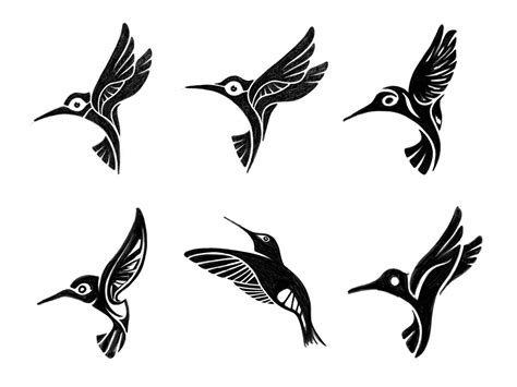 Hummingbird sketches by Gert van Duinen on Dribbble