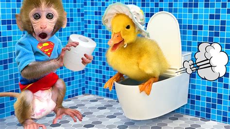 Monkey Baby Bon Bon Bathes With Duckling In The Bathtub And Eats