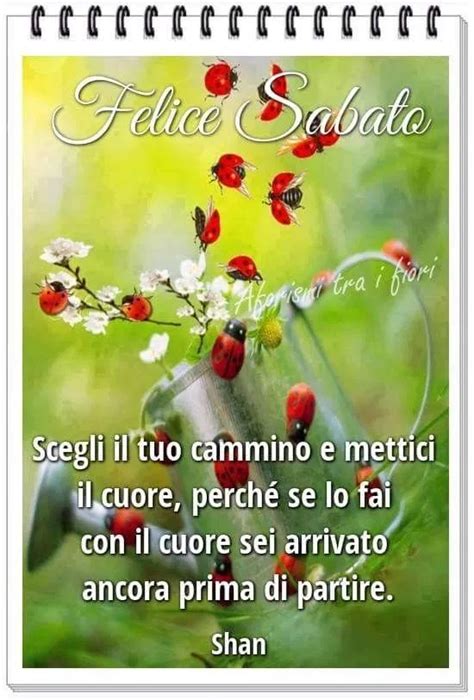 Buongiorno Felice Sabato Buongiorno Sabato Sabato Buongiorno