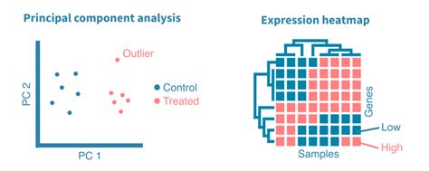 Rna Sequencing Data Analysis Genevia Technologies