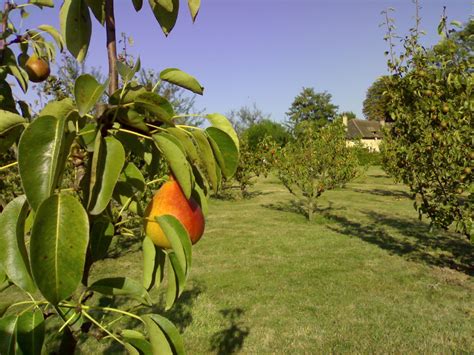 Les jardins collectifs de lHistoire ou comment jardiner la mémoire