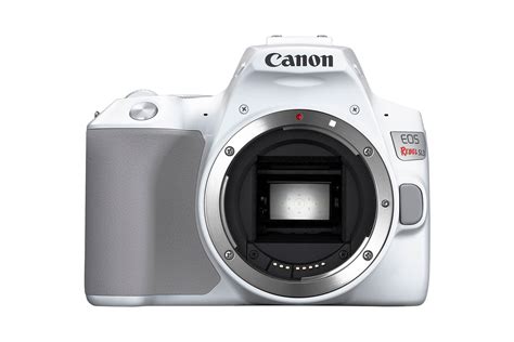 Canon's Rebel SL3 is a DSLR Masquerading as a Mirrorless Camera | Digital Trends