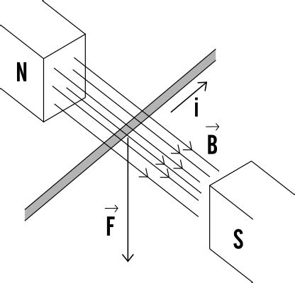 Forza Magnetica Su Un Filo Rettilineo Percorso Da Corrente