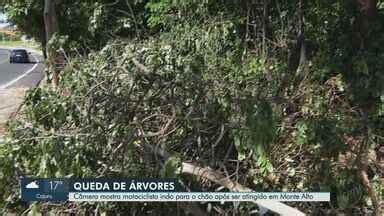 Jornal Da Eptv Edi O Ribeir O Preto Motociclista Quebra O