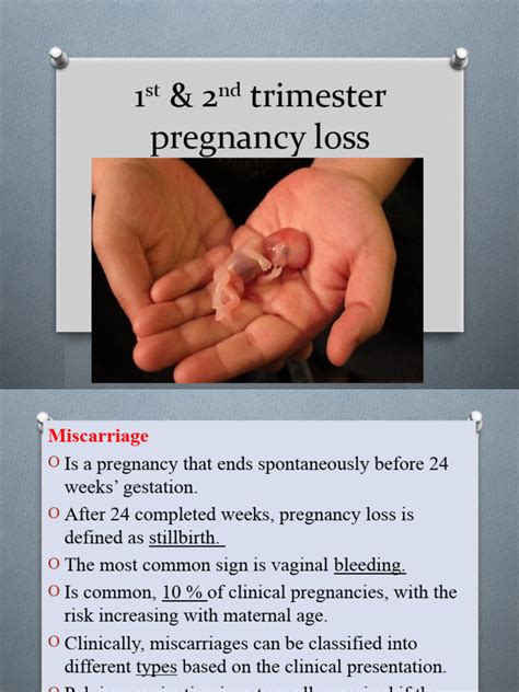 1st And 2nd Trimester Pregnancy Loss Pdf Miscarriage Pregnancy