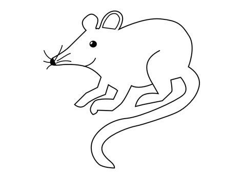 Rat Outline Clip Art