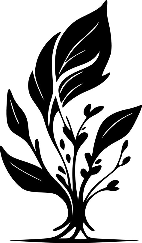 Flourish, Black and White Vector illustration 23855175 Vector Art at Vecteezy