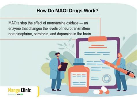 Maoi Drugs For Depression How Do They Work Mango Clinic