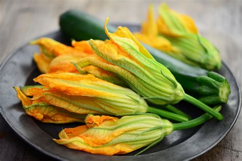 All About Zucchini Flowers Aquapazza Blog