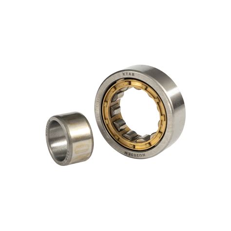 Brass Cage Cylindrical Roller Bearing Germany Nu Ecm Nu Ecp China