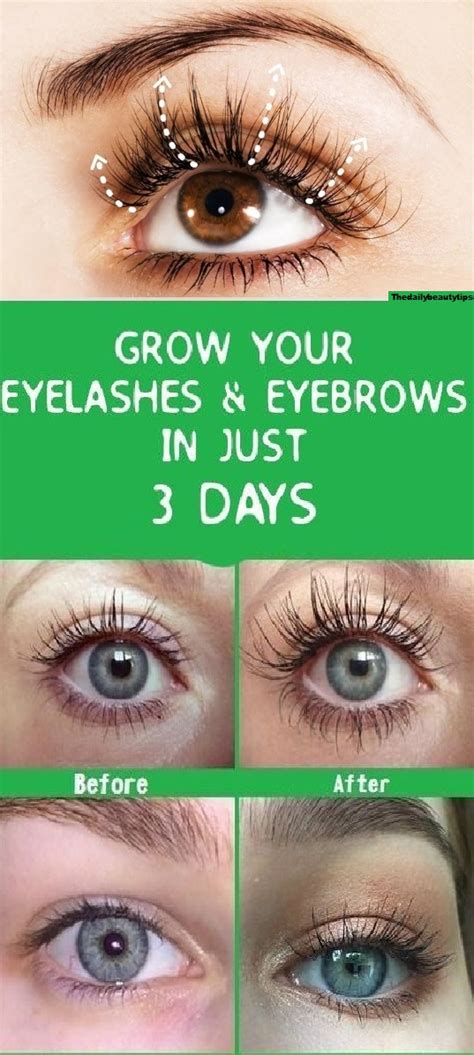 How To Grow Your Eyelashes Eyebrows In Just 3 Days