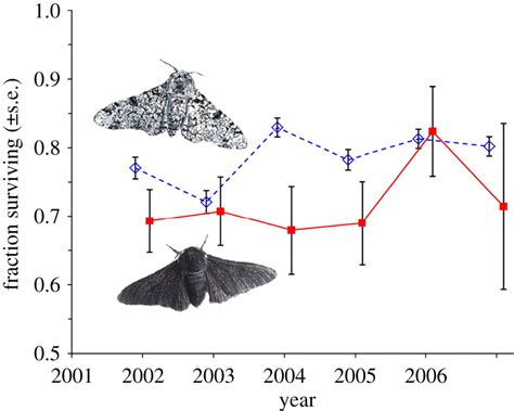 Peppered Moths Evolution Diagram