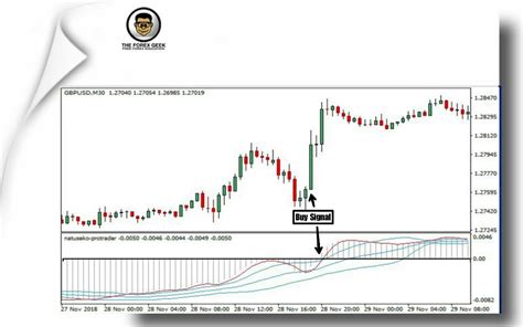 Natuseko Protrader The Forex Geek