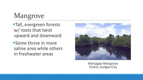 Unit 5 Lesson 55 Major Ecosystems And Resources In The Philippines