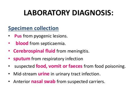 Staphylococcus aureus