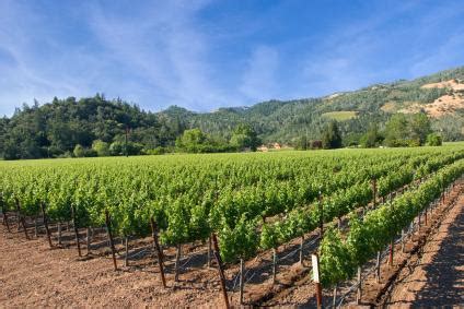 8 Sonoma Wineries You Should Plan to Visit | LoveToKnow