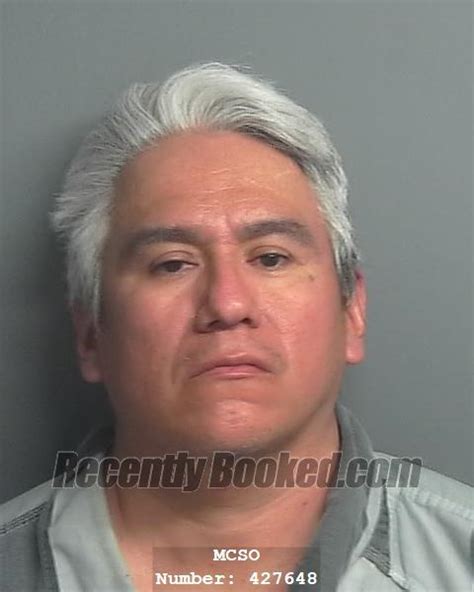 Recent Booking Mugshot For Jose Ramon Alaniz In Montgomery County Texas