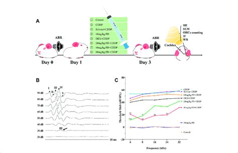 Pd Reduces The Abr Threshold Shift Induced By Cisplatin In Guinea Pigs